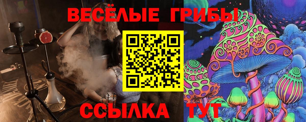 Псилоцибиновые грибы Psilocybine cubensis Надым