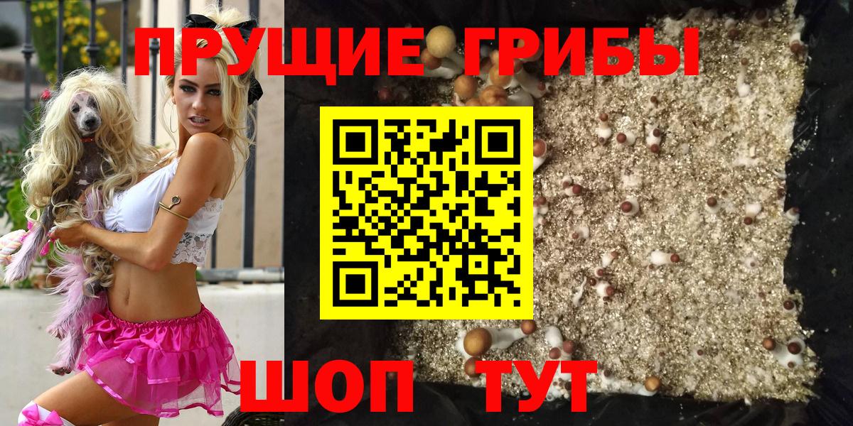 Надым  Галлюциногенные грибы GOLDEN TEACHER  Вход с VPN 